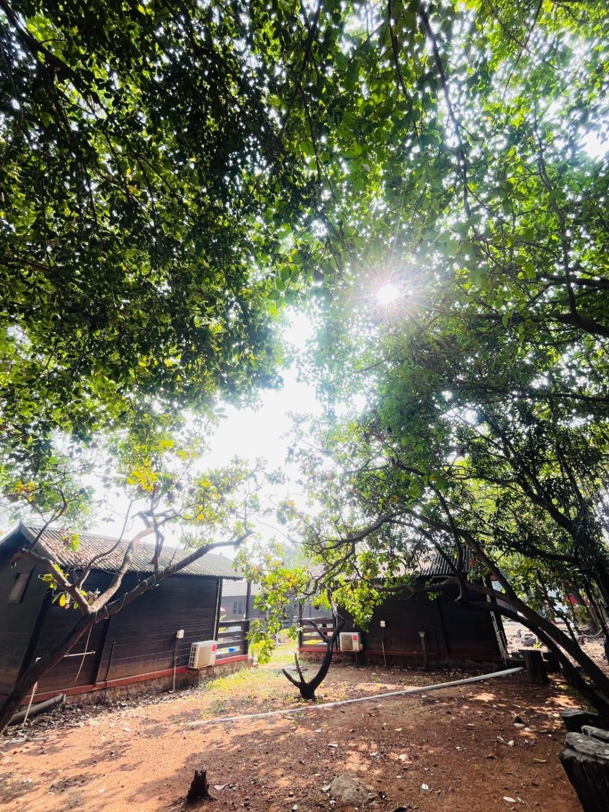 Cocorico Stay Ya! Cottages Alibag Bagian luar foto