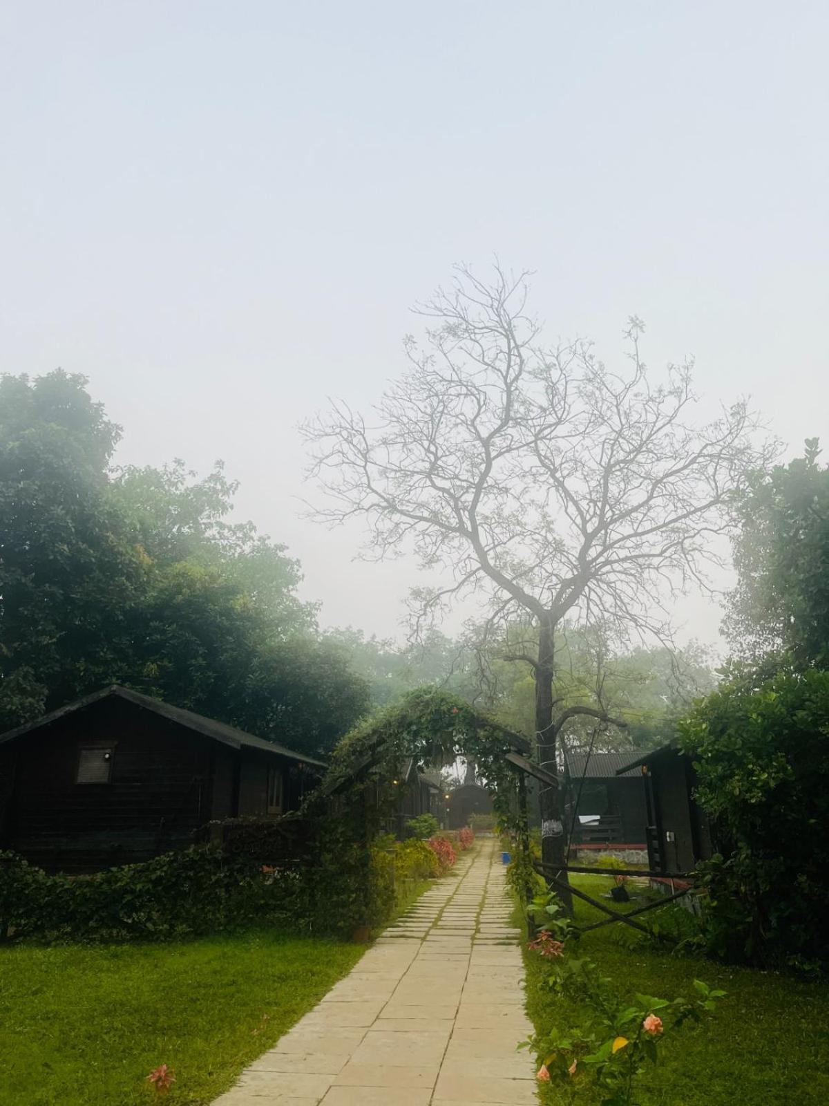 Cocorico Stay Ya! Cottages Alibag Bagian luar foto
